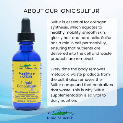 Eidon Ionic Minerals MSM Liquid Concentrate beauty mineral drops for skin and hair