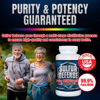 7 Lights Sulfur Defense 99.9 percent pure MSM capsule closeup