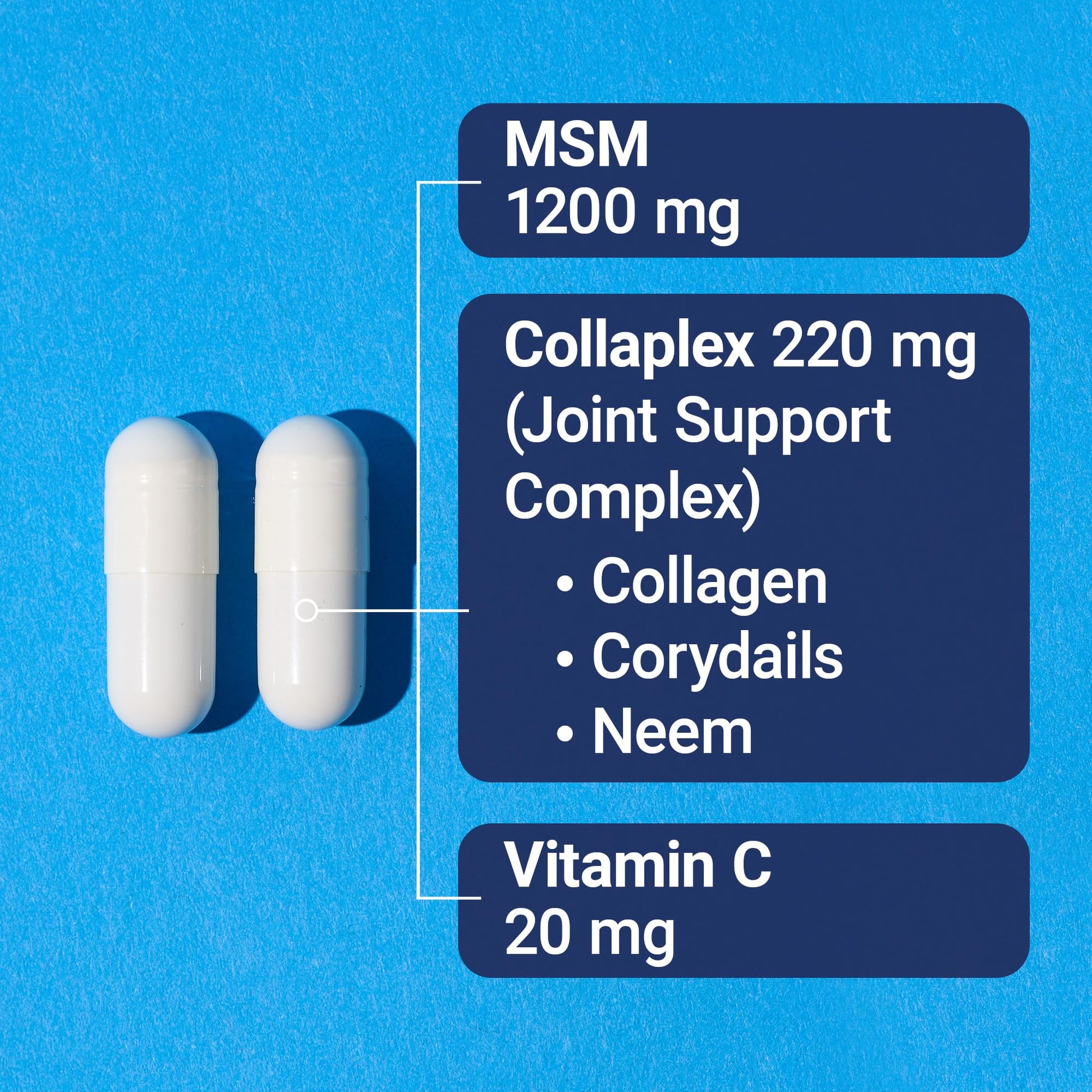 Back label view displaying dietary directions and cGMP manufacturing certification details.