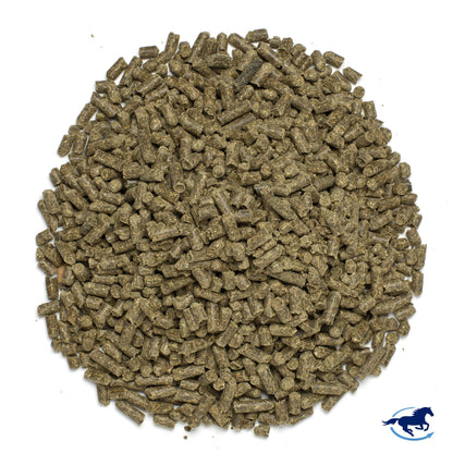 Close-up of the equine joint supplement pellets displaying the alfalfa texture.
