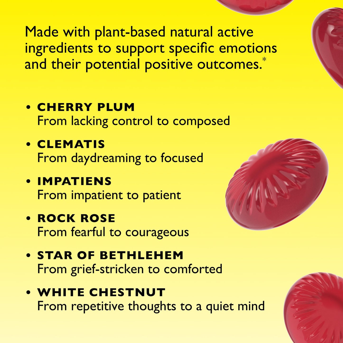 Natural homeopathic nighttime formula by Nelson Bach for quiet mind support