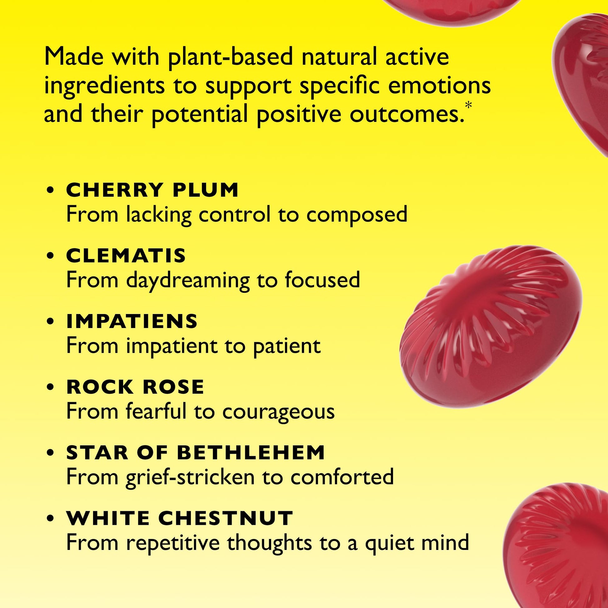 Natural homeopathic nighttime formula by Nelson Bach for quiet mind support