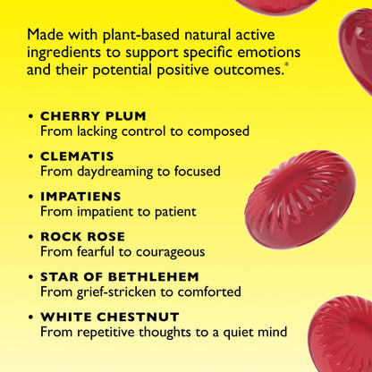 Natural homeopathic nighttime formula by Nelson Bach for quiet mind support