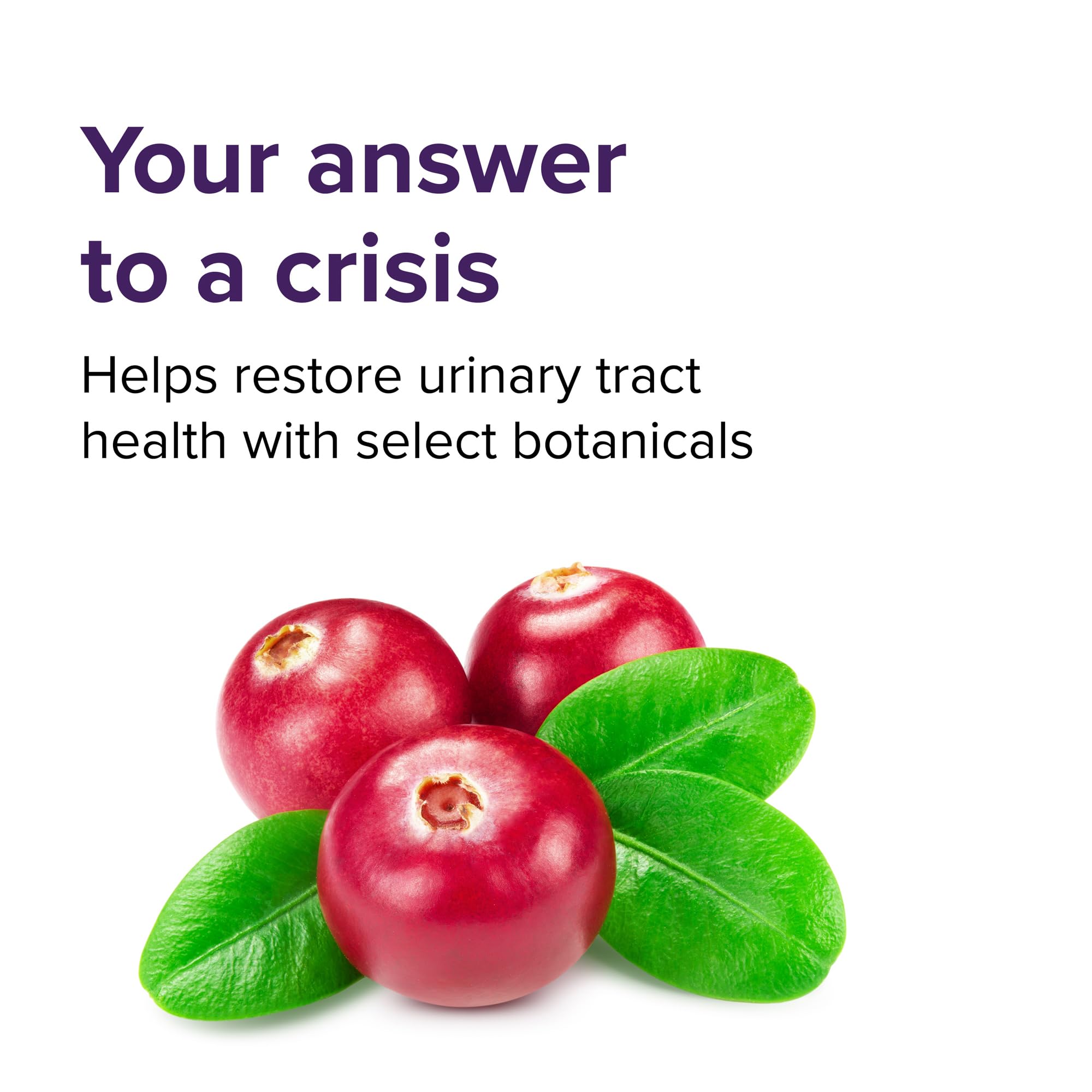 Vibrant Health UT Vibrance crisis intervention urinary tract formula single dose packet