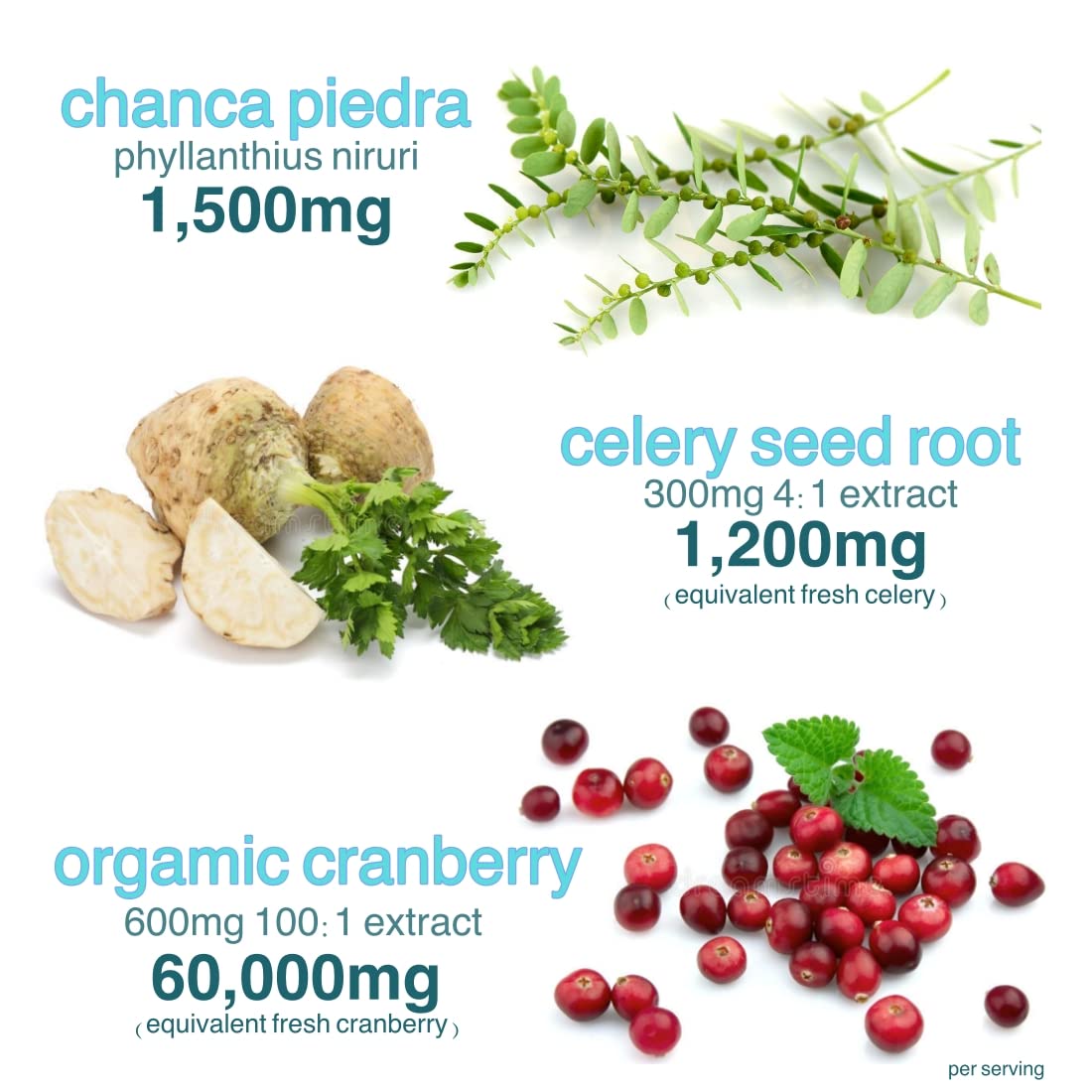 Natural plant based Chanca Piedra stone breaker herbal gummies close up