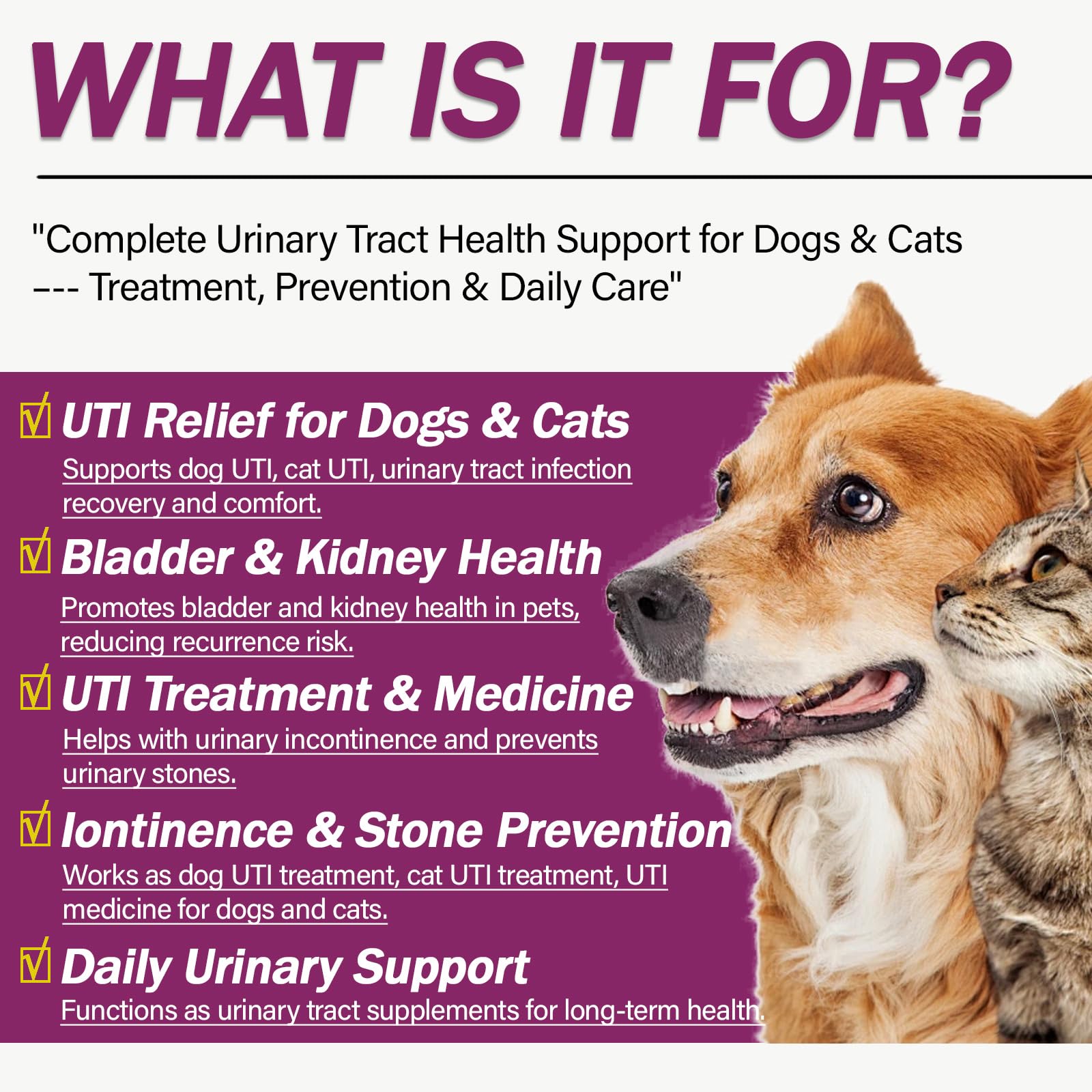 Nutriarise pet bladder and kidney supplement bottle label showing capsule count