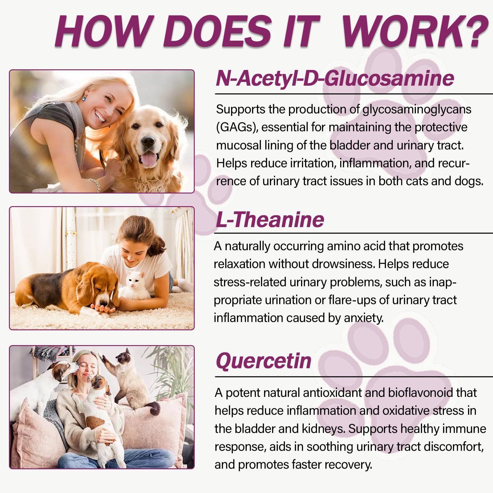 Nutriarise natural UTI support for dogs and cats nutritional information panel