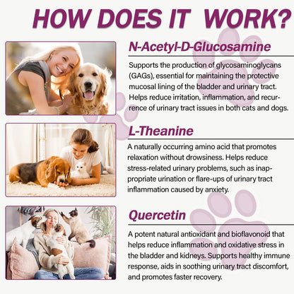 Nutriarise natural UTI support for dogs and cats nutritional information panel