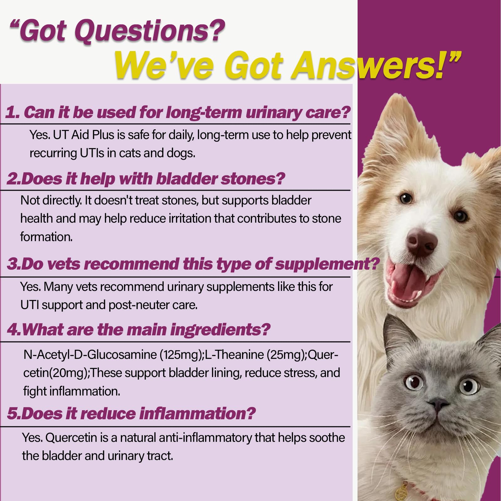 Nutriarise triple action bladder health supplement premium packaging overview