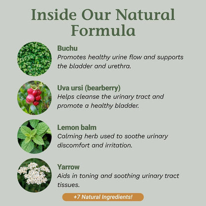 Native Remedies UTI-Clear supplement facts showing organic ingredients list