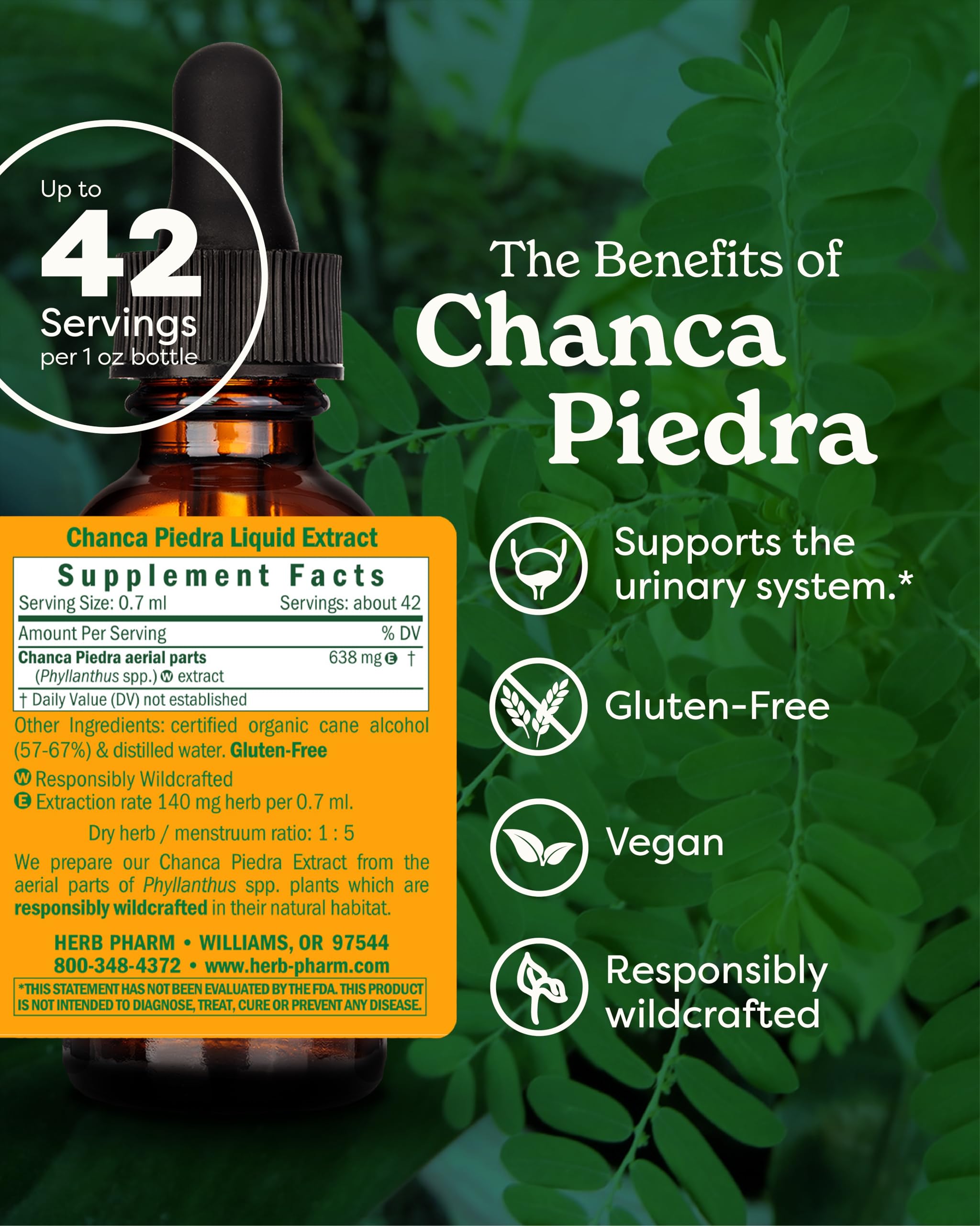 Authentic stone breaker liquid extract drops for urinary system support