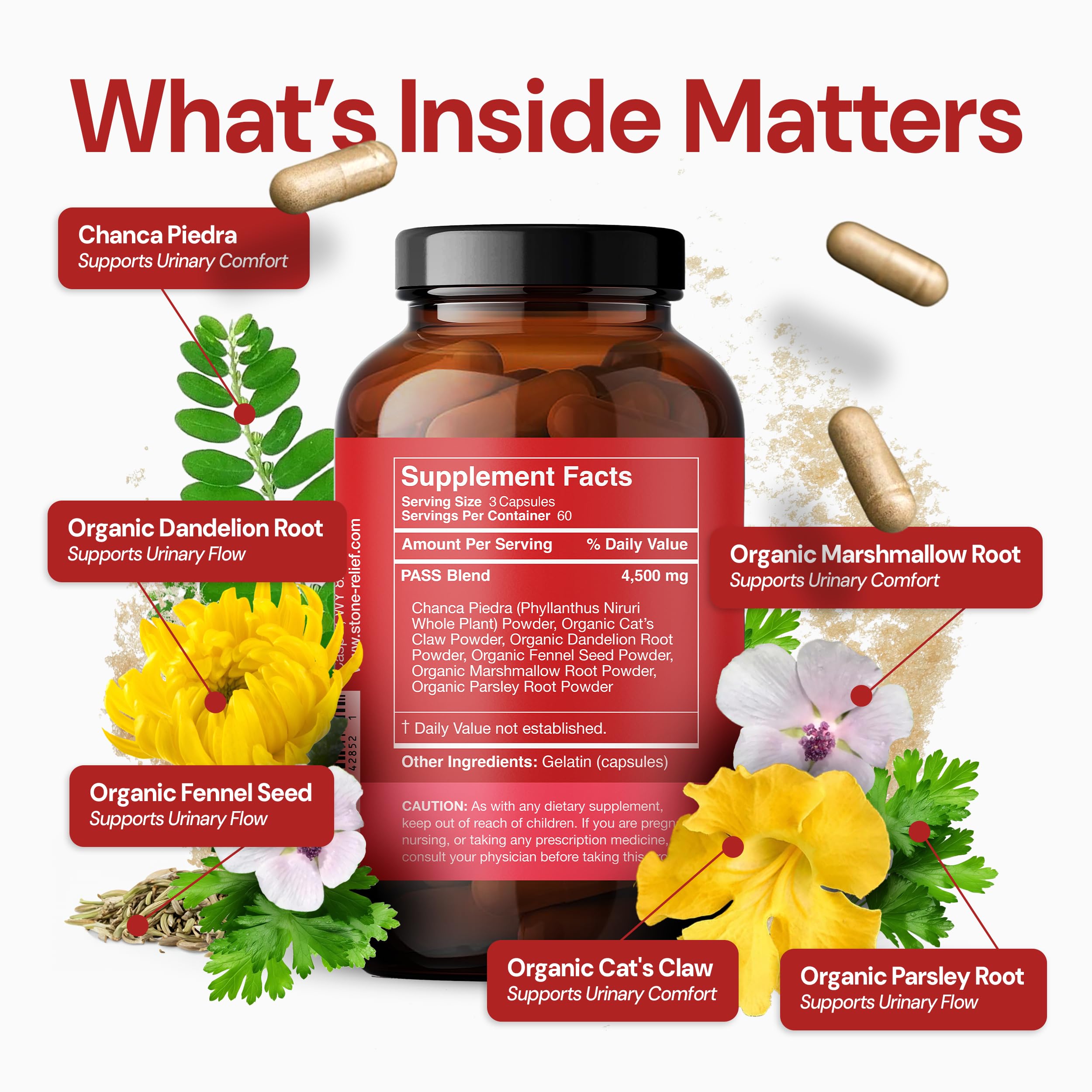 Premium brown glass bottle of Stone Relief kidney flushing supplement