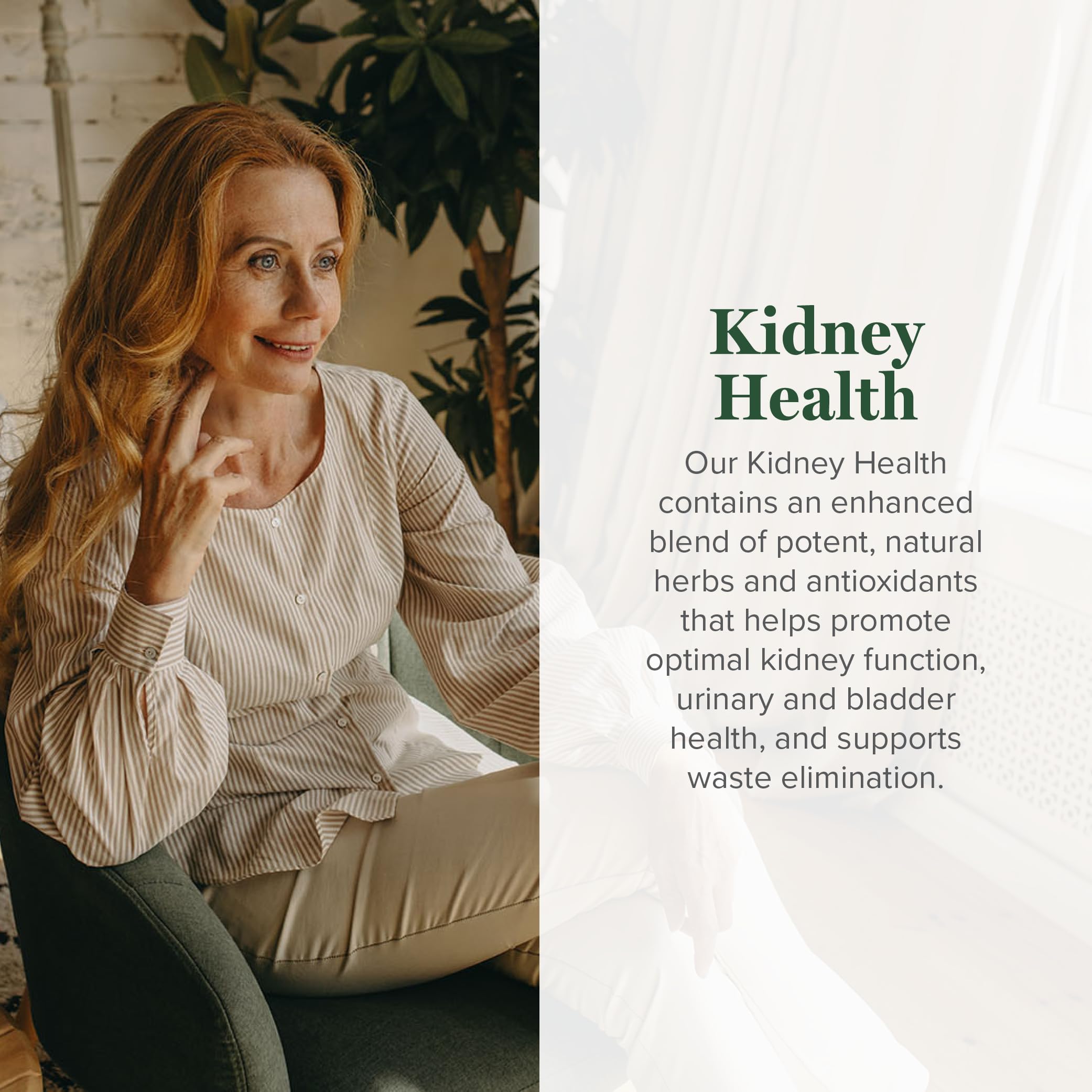 Global Healing Center Kidney Health liquid extract supplement facts and ingredient list