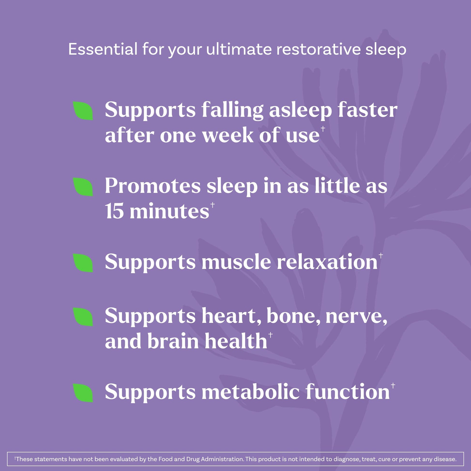 Natrol imported nighttime relaxation supplements bottle showing cherry flavor details