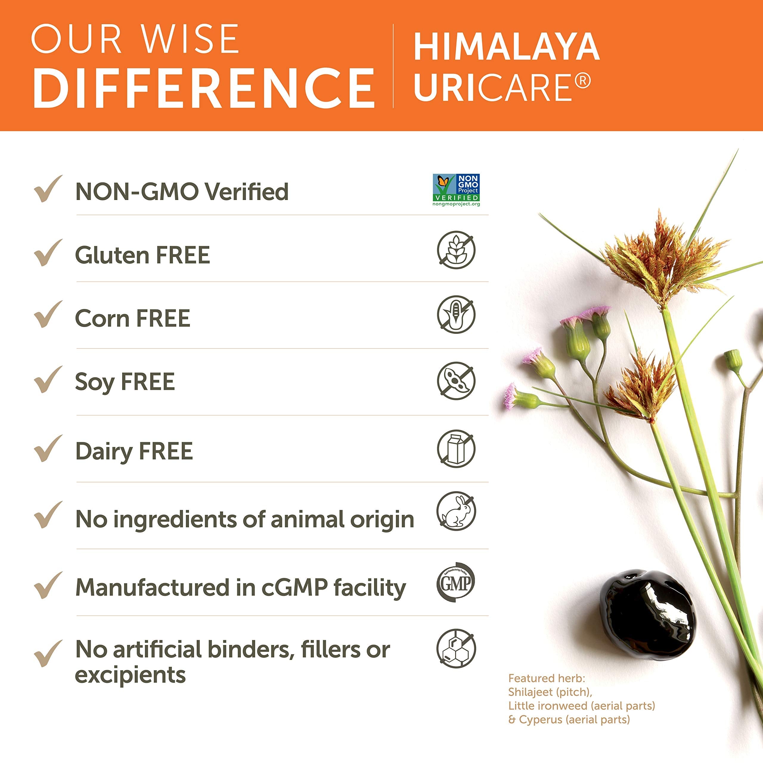 Authentic USA imported Himalaya UriCare bottle showing the 60 day supply count.