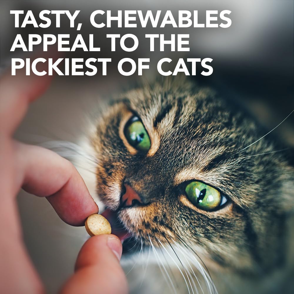 Premium Vet's Best feline kidney health supplement packaging top angle