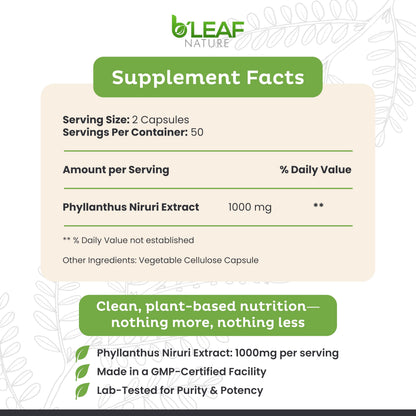 B'Leaf Nature Phyllanthus Niruri vegetarian capsules supplement facts and ingredient label.