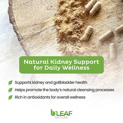 B'Leaf Nature Chanca Piedra herbal extract bottle showing vegan and non GMO seals.
