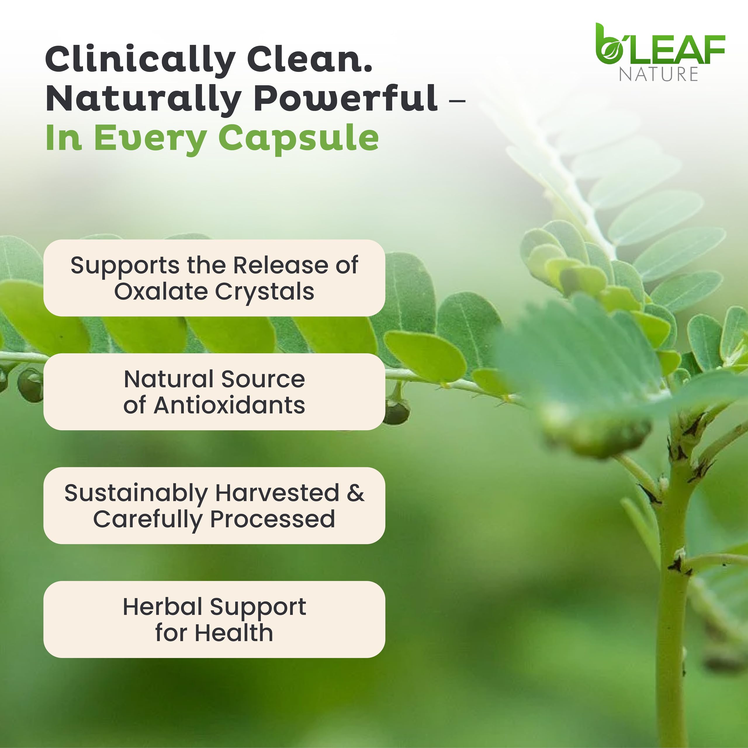 Top view of the packaging for B'Leaf Nature Stone Breaker gallbladder and urinary support.