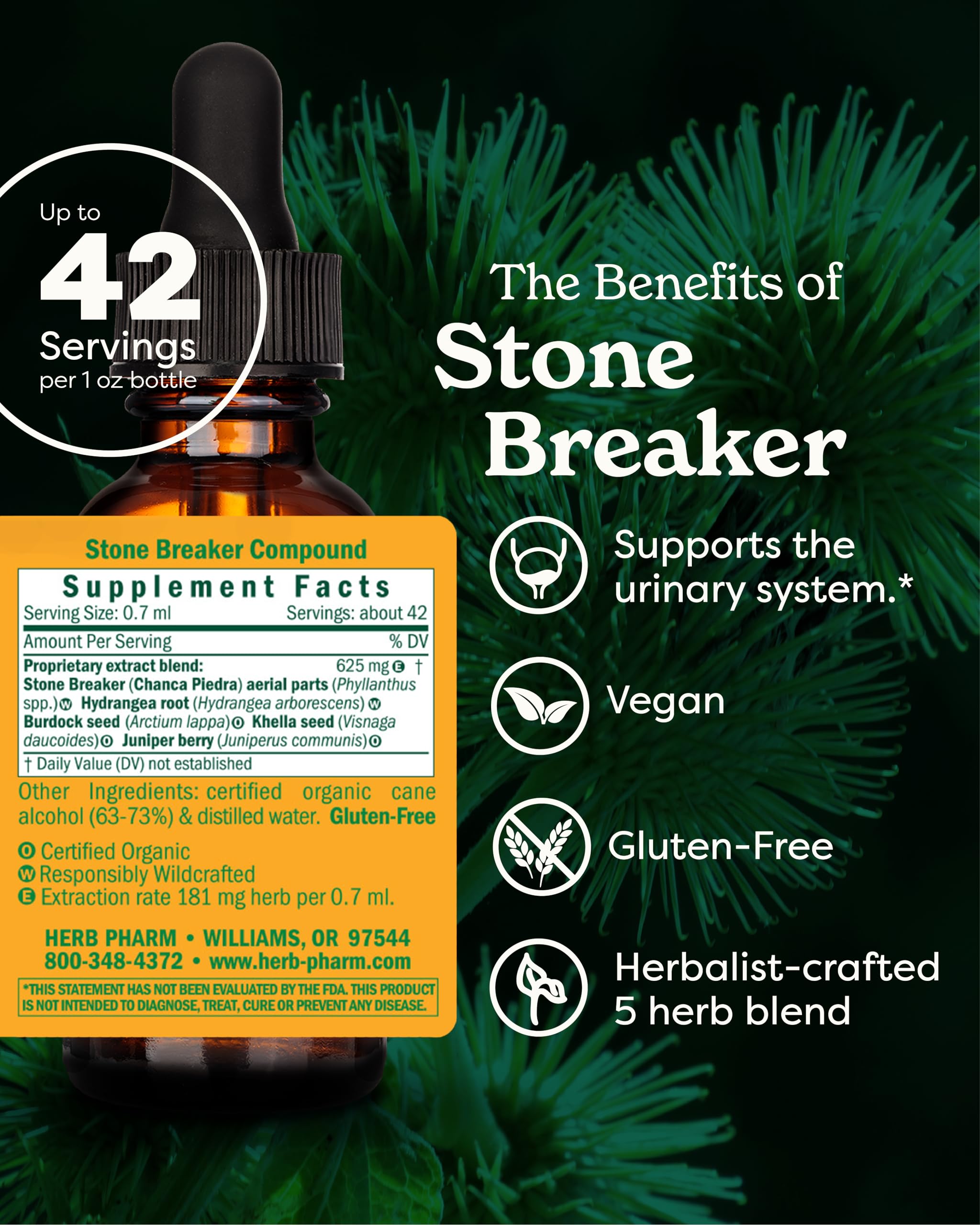 Herb Pharm Stone Breaker liquid herbal extract dropper assembly and amber glass container for urinary support