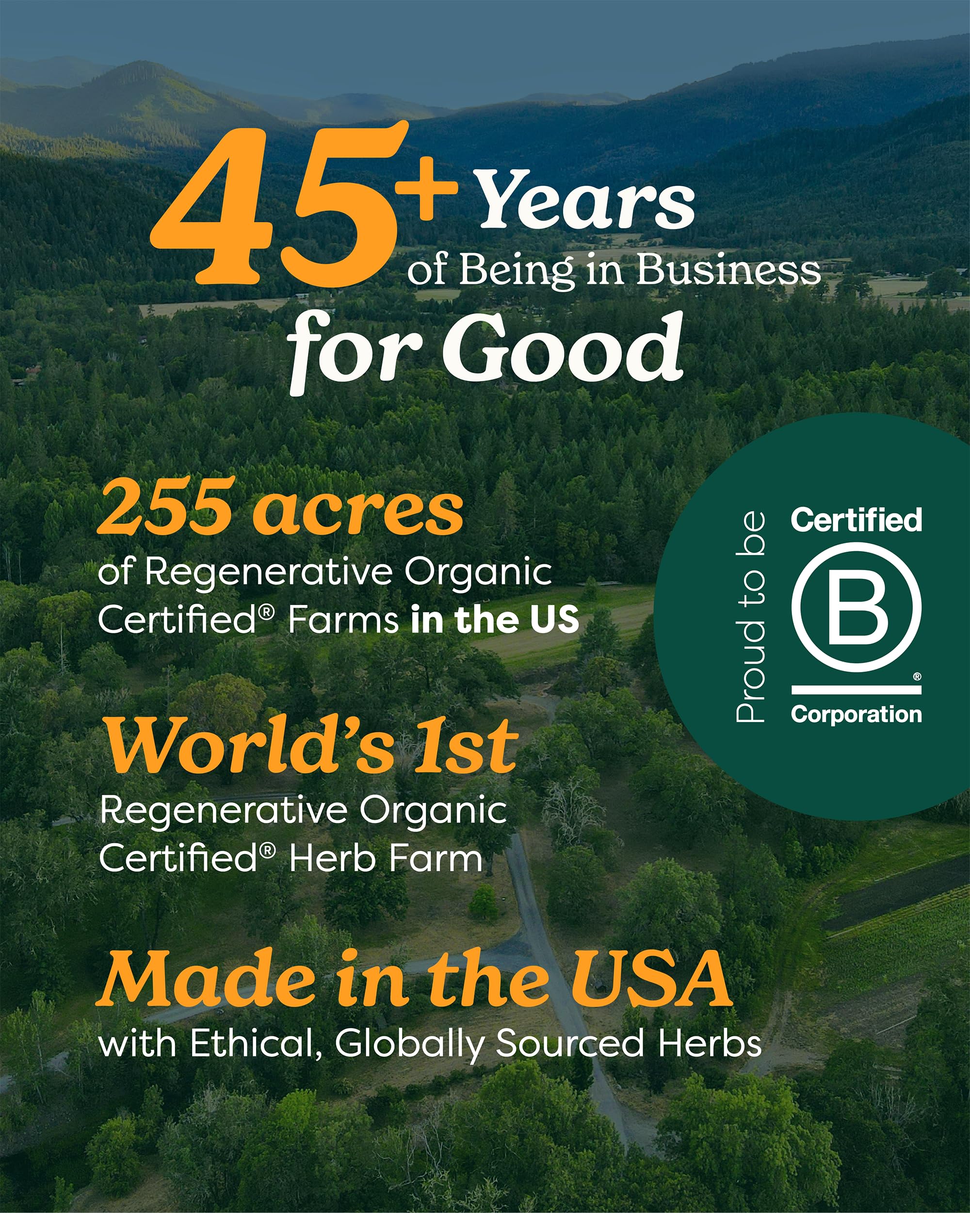 Close up of the non GMO and gluten free certifications on the Herb Pharm Stone Breaker label