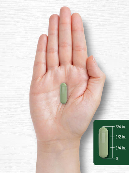 Side view of Carlyle Moringa Oleifera capsules demonstrating container size and count