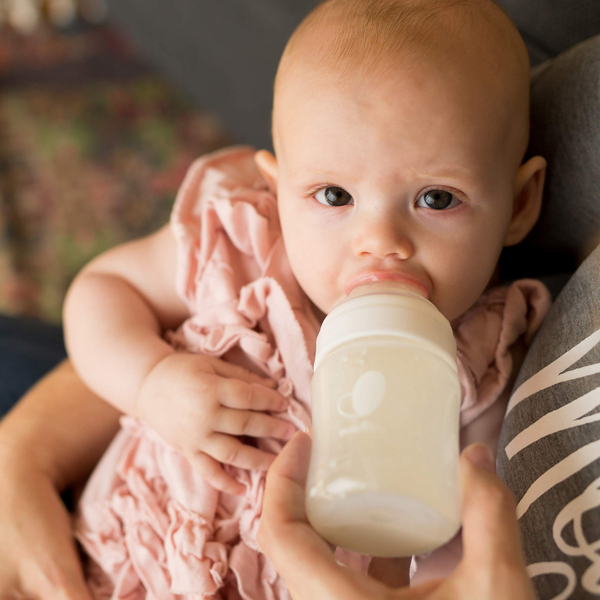 Evenflo BPA-free baby bottles display for newborns