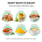 Eversmith Organics sea moss packaging and ingredient certification highlights
