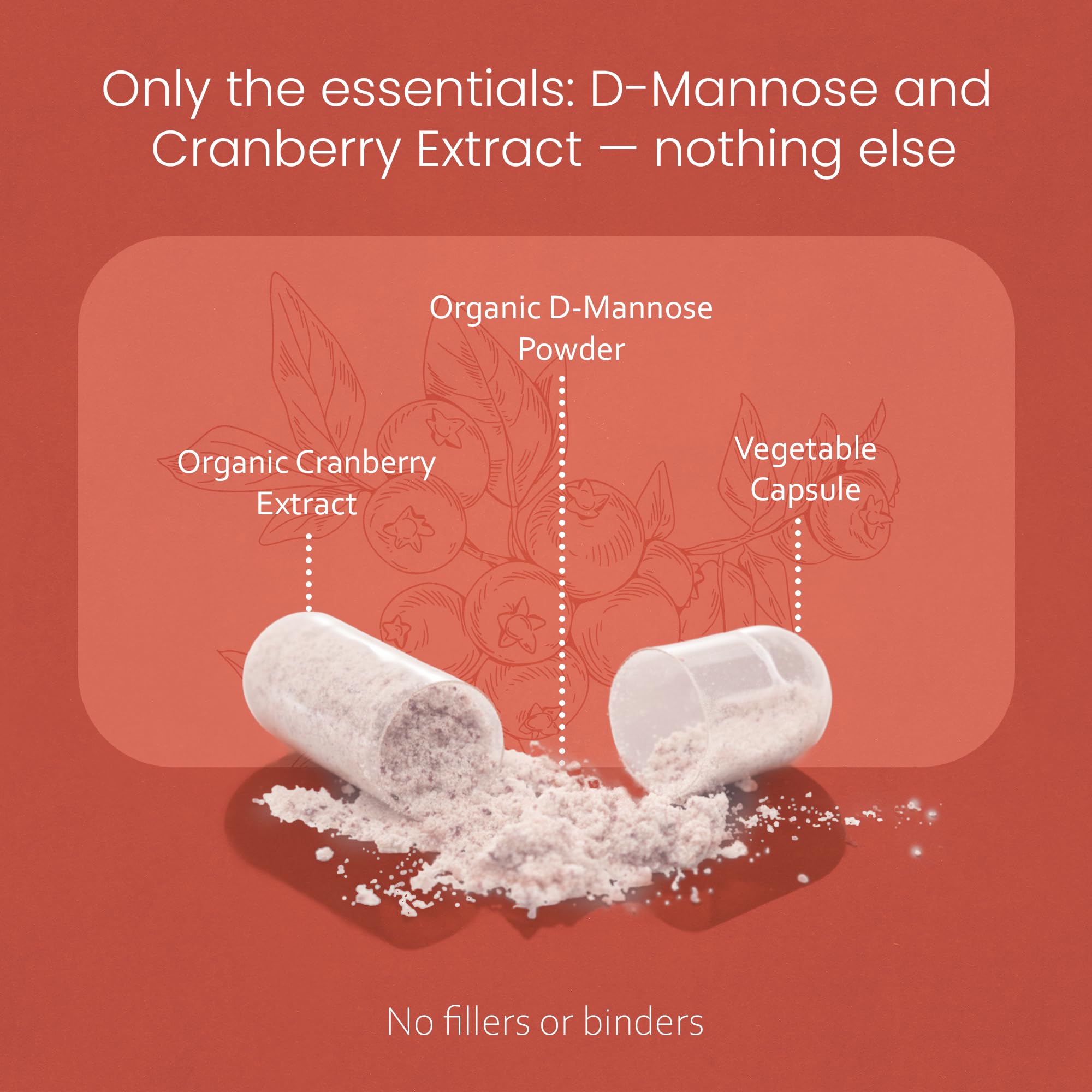 NaturaLife Labs organic urinary tract support capsules displaying vegan and non-GMO labels