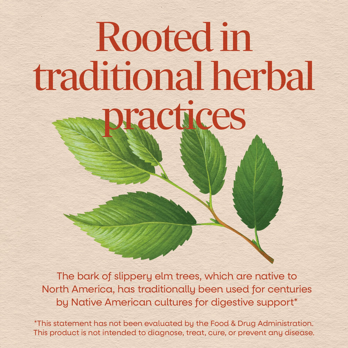 Nature's Way Slippery Elm Bark vegan capsules close-up view