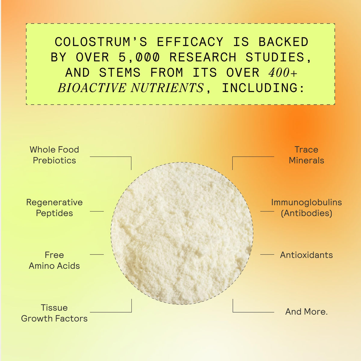 Armra immune revival powder scoop and texture view