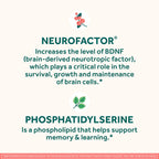 Side profile of Neuriva brain health supplement bottle showing nutritional information.