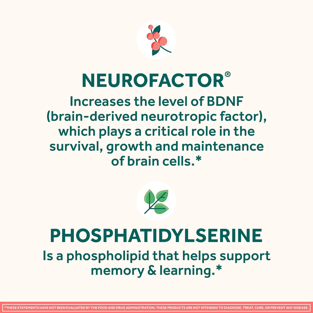 Side profile of Neuriva brain health supplement bottle showing nutritional information.