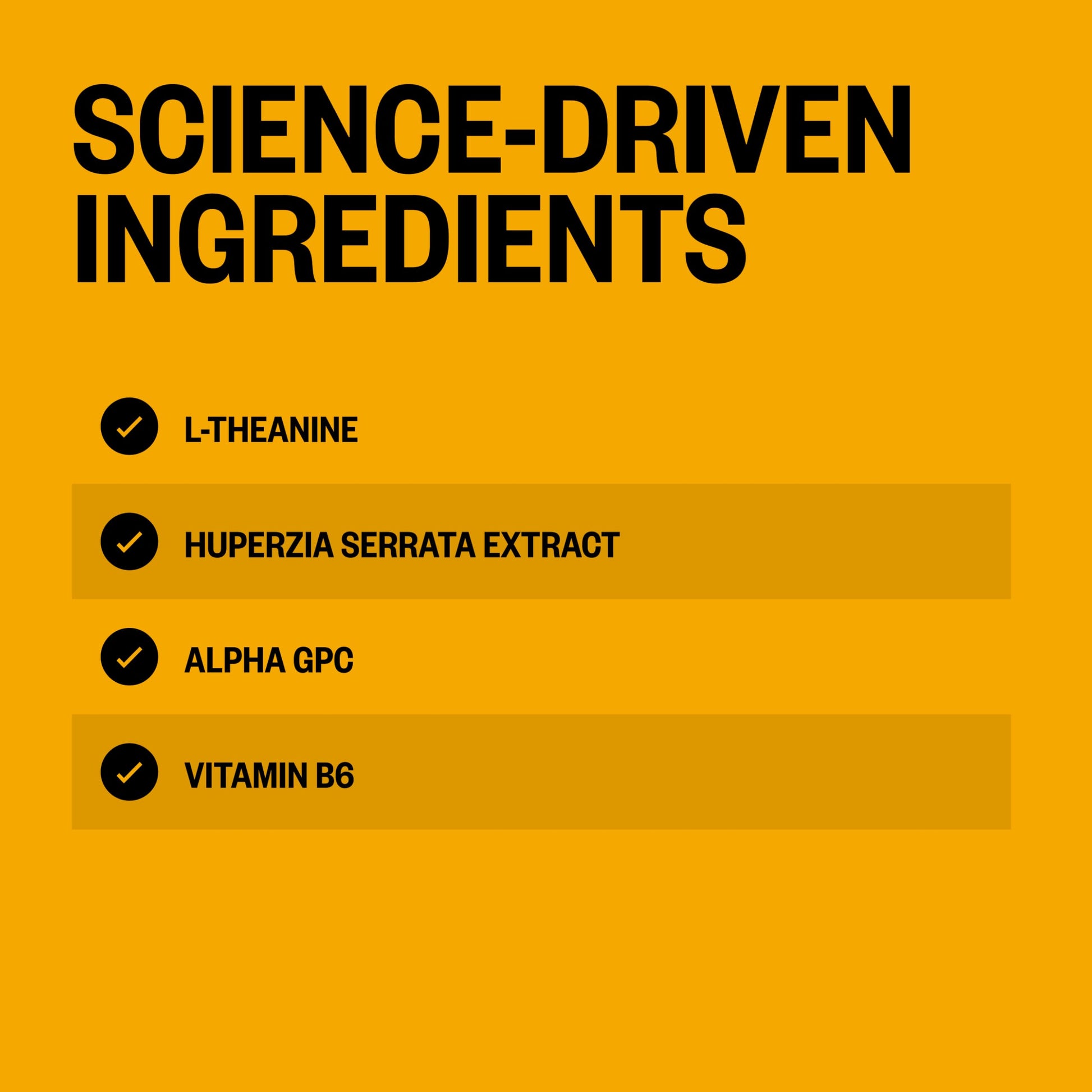 Onnit Alpha Brain Instant ingredient label detail