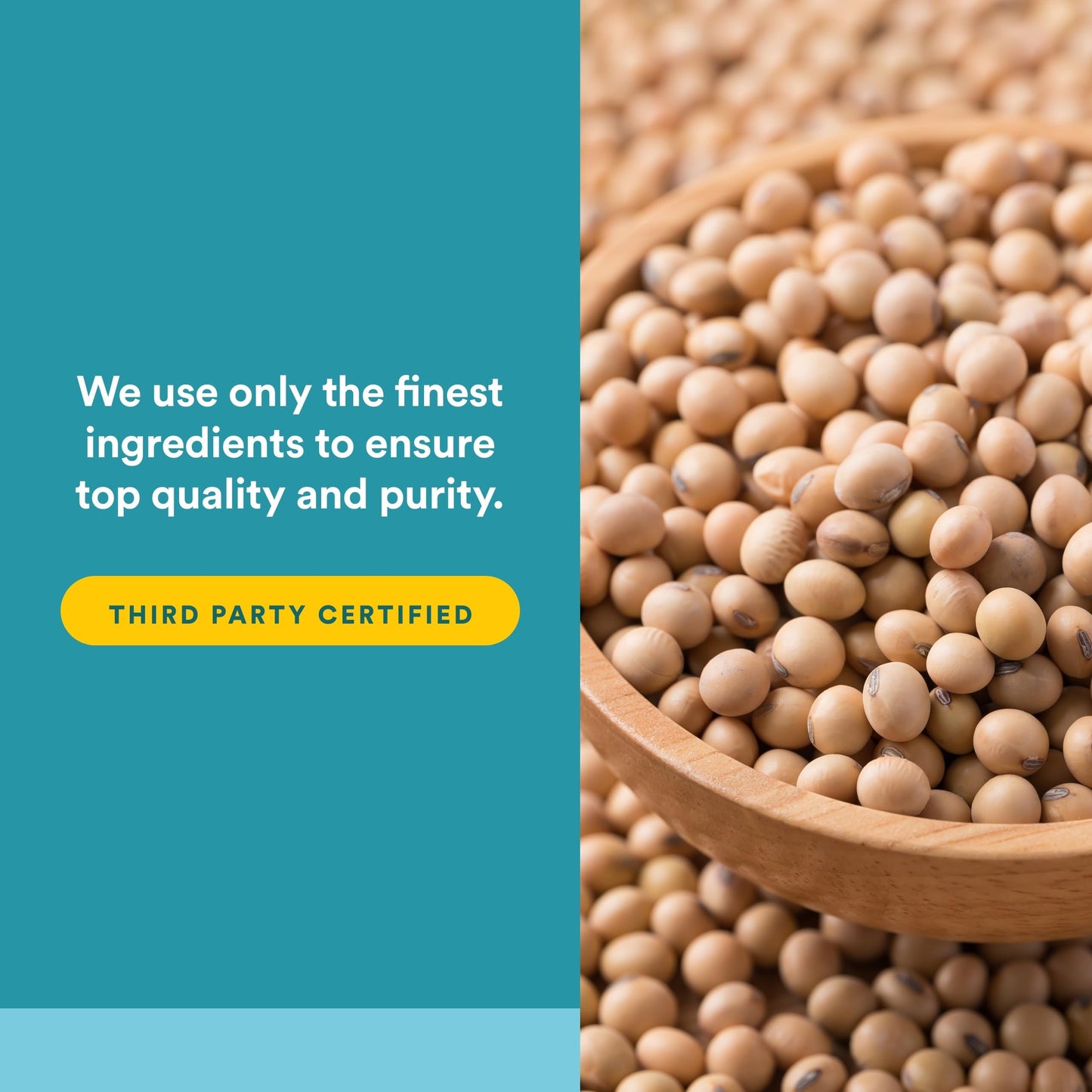 Authentic Natural Factors Phosphatidyl Choline softgels