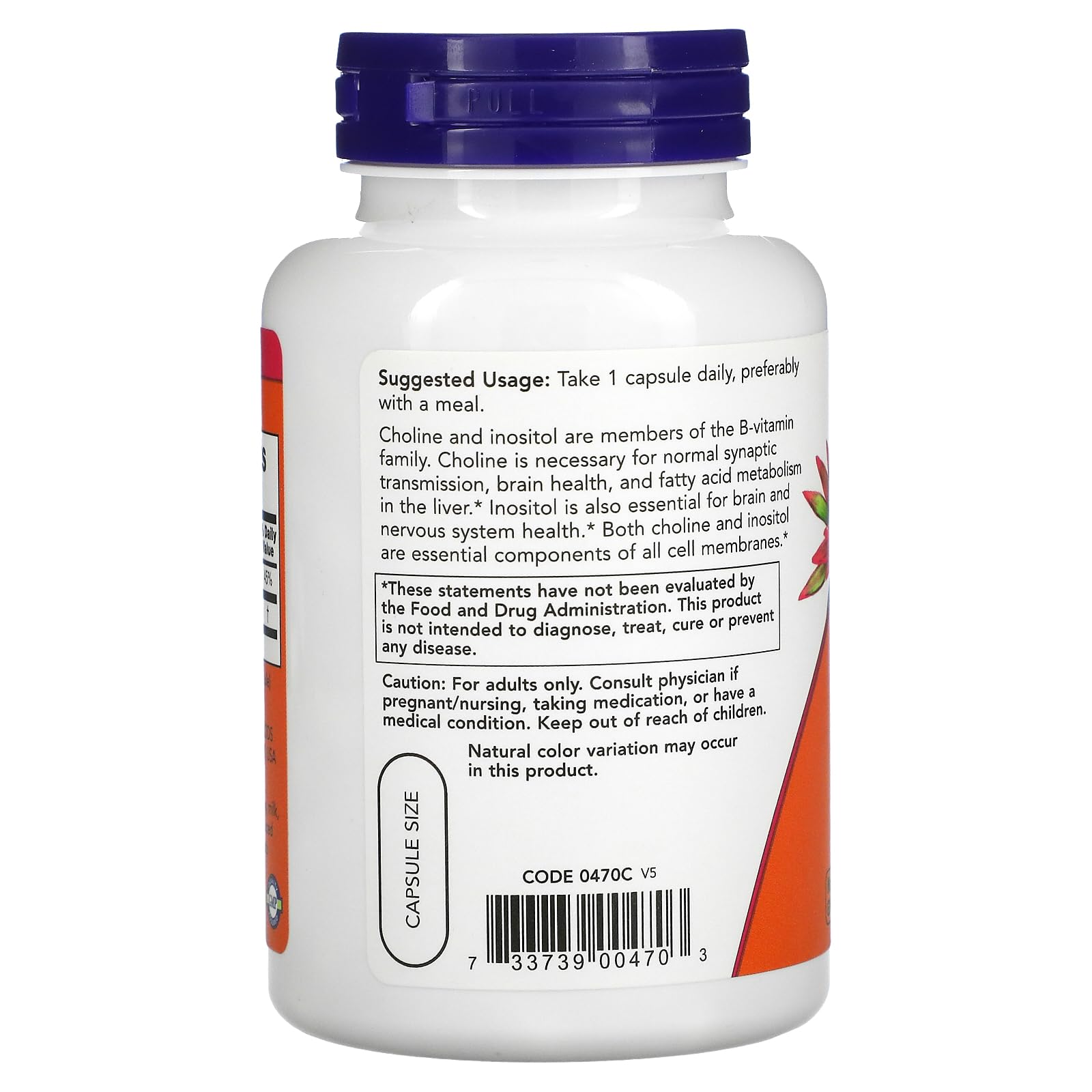 Now Foods Choline and Inositol vegetarian capsules bottle packaging