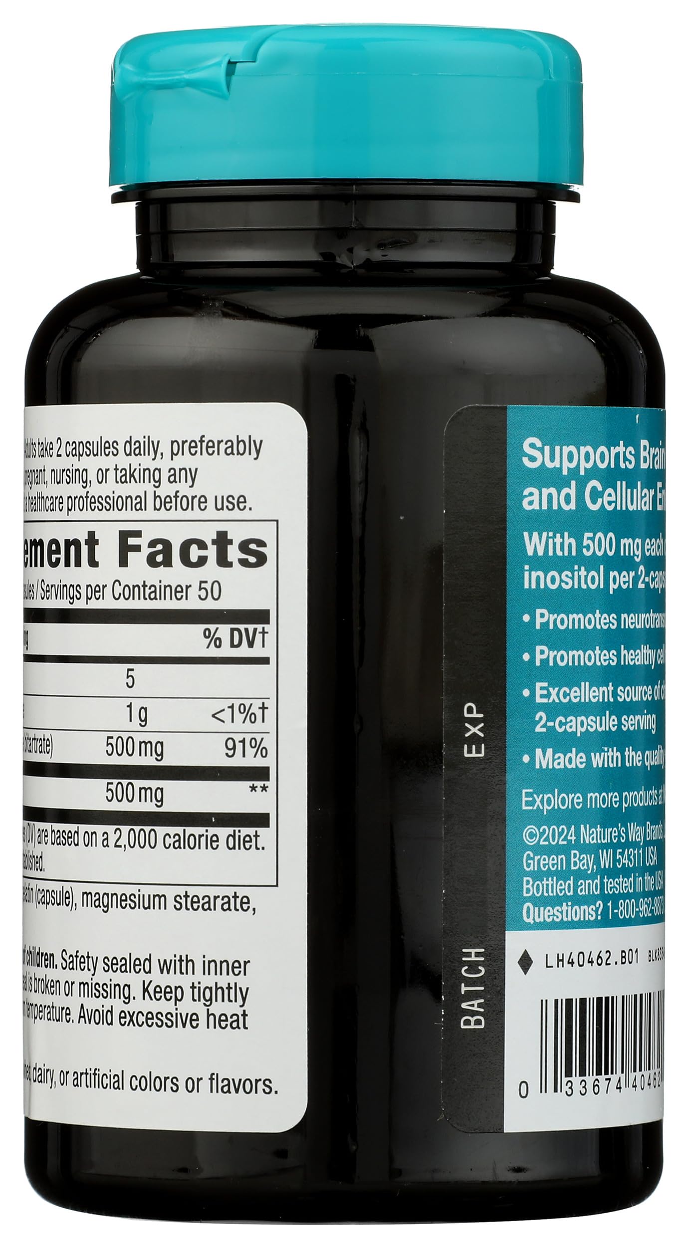 Nature's Way Choline and Inositol supplement facts label