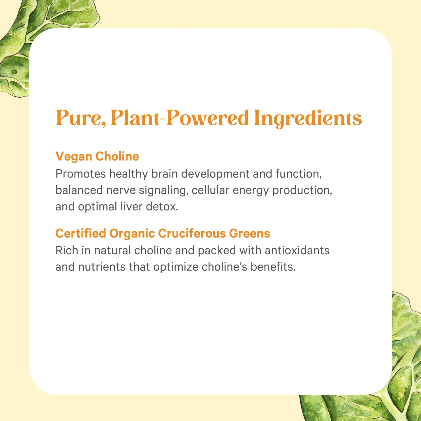 Fermented vegan choline complex 60 tablets