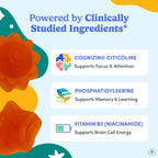 First Day non GMO vegan focus gummies side view showing allergen free details