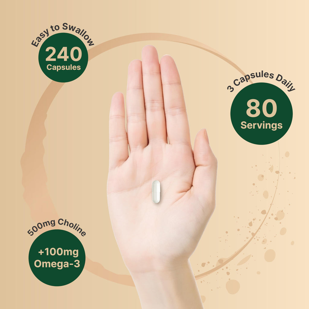 NatureBell Choline 500mg bottle packaging side view