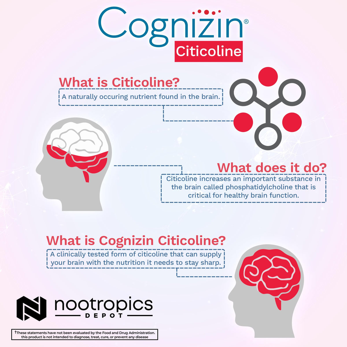 Nootropics Depot Cognizin packaging details and dosage information