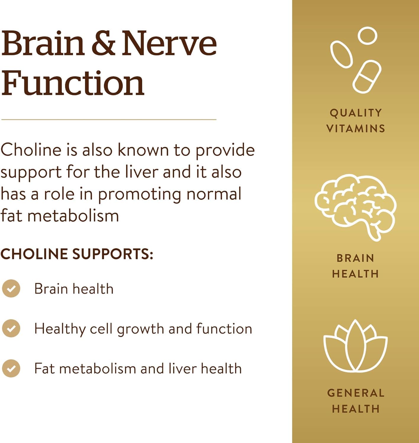 Solgar Choline cellular support supplement packaging