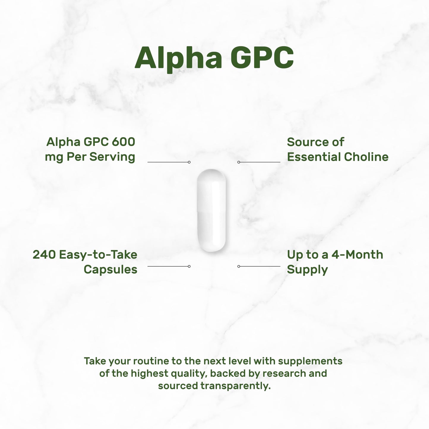 Back view of Deal Supplement Alpha GPC bottle with ingredient list