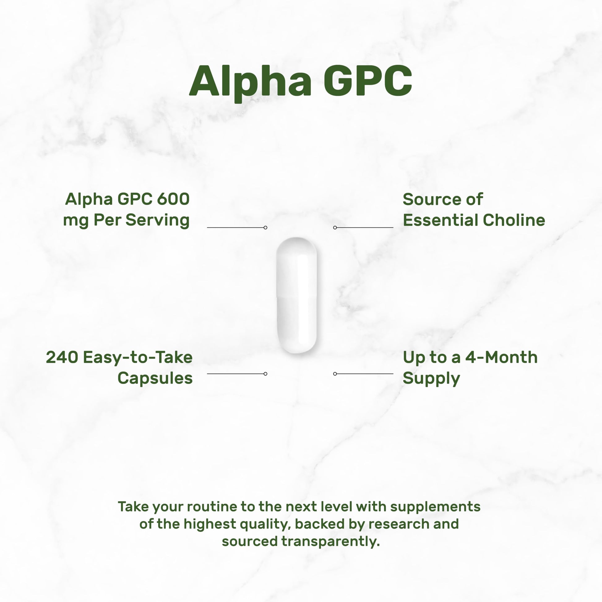 Back view of Deal Supplement Alpha GPC bottle with ingredient list
