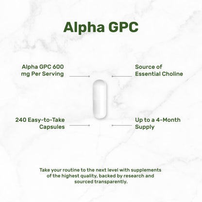 Back view of Deal Supplement Alpha GPC bottle with ingredient list