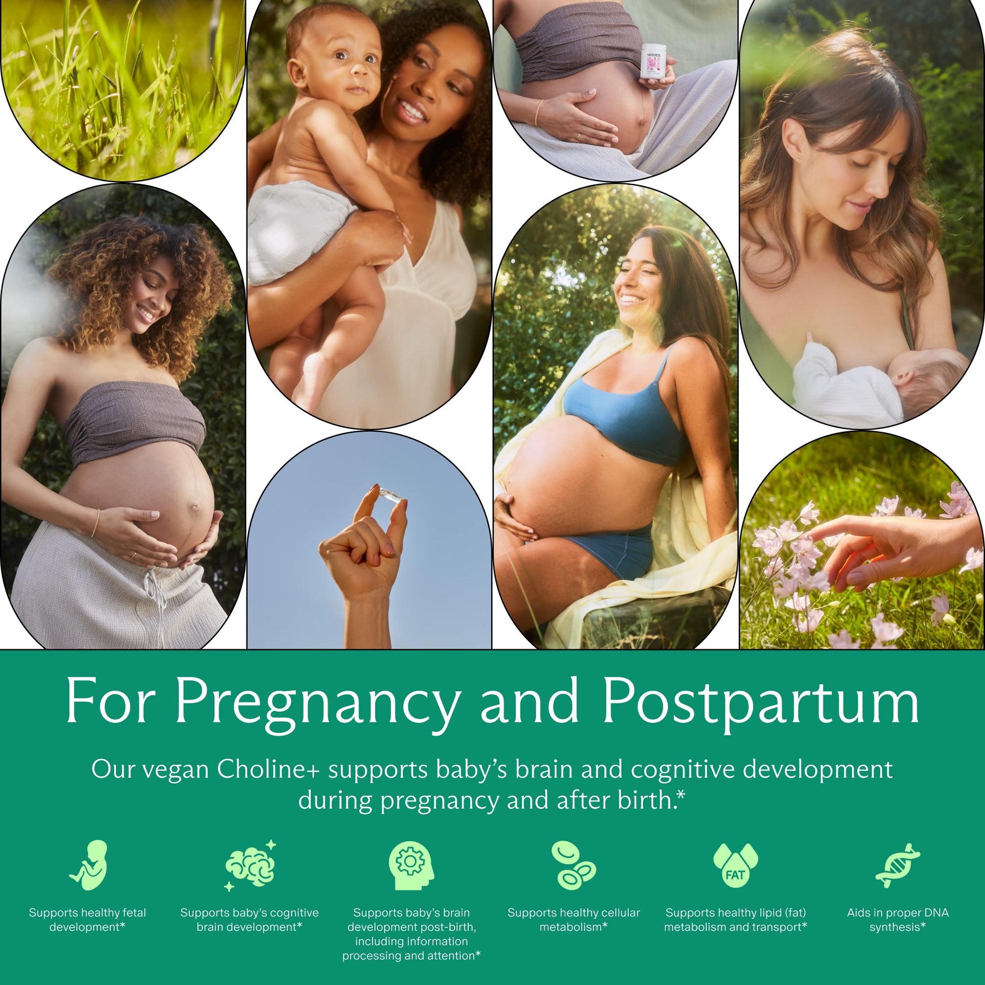Close up of Needed Prenatal Choline capsules