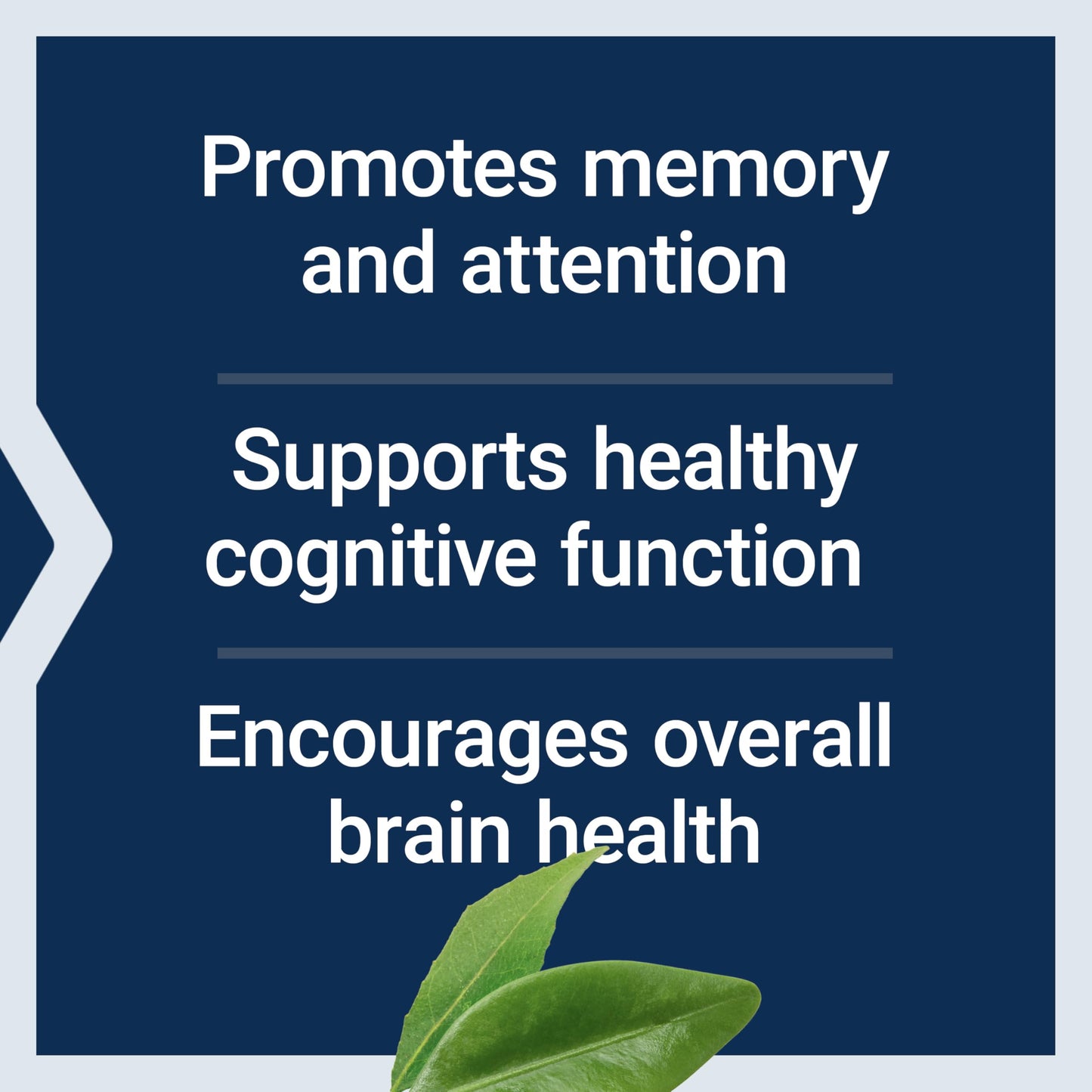 Life Extension brain health supplement bottle nutritional facts