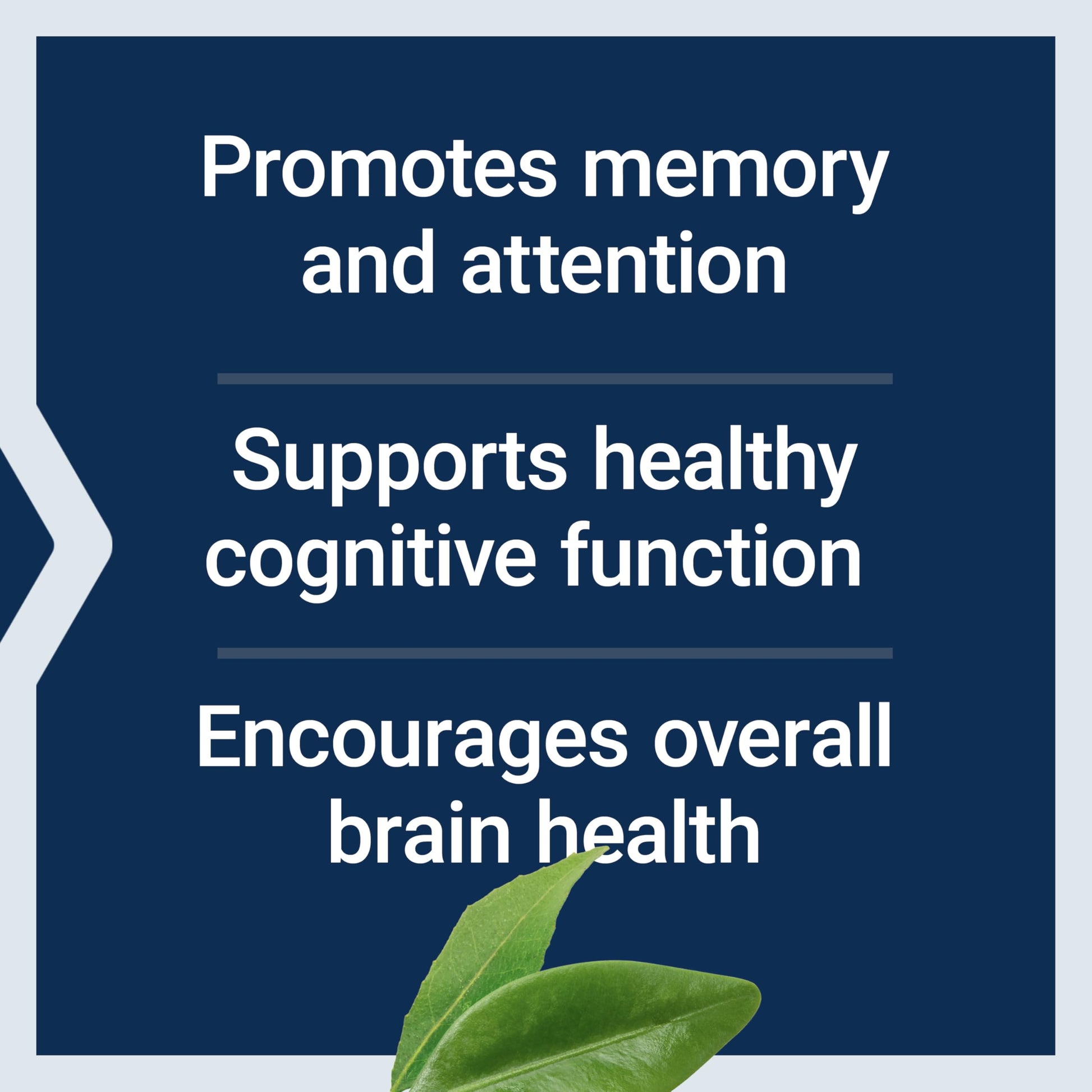 Life Extension brain health supplement bottle nutritional facts