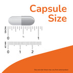 Now Foods Choline and Inositol vegetarian capsules bottle back display