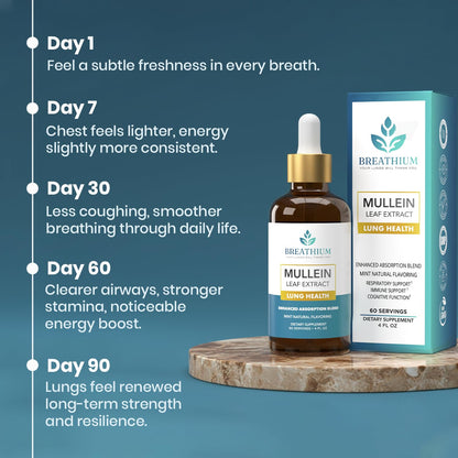 Breathium 4 in 1 liposomal mullein tincture showcasing its dual lung health and gut health properties.